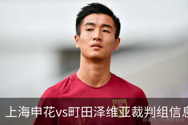 上海申花vs町田泽维亚裁判组信息