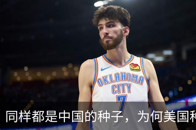 同样都是中国的种子，为何美国种出的水稻，亩产要比中国高？