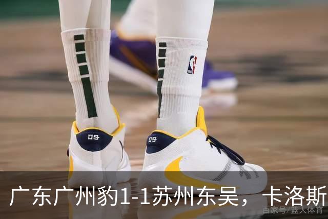 广东广州豹1-1苏州东吴，卡洛斯助攻卡马拉，王彬翰绝平