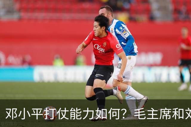 邓小平打仗能力如何？毛主席和刘伯承分别怎么评价他的表现？