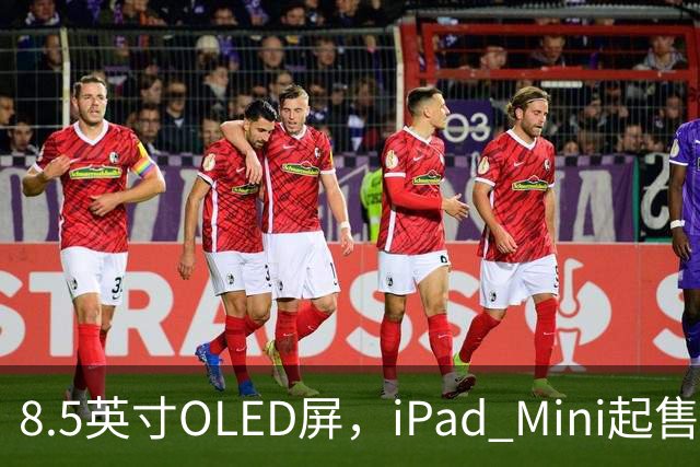 8.5英寸OLED屏，iPad Mini起售价涨到699美元